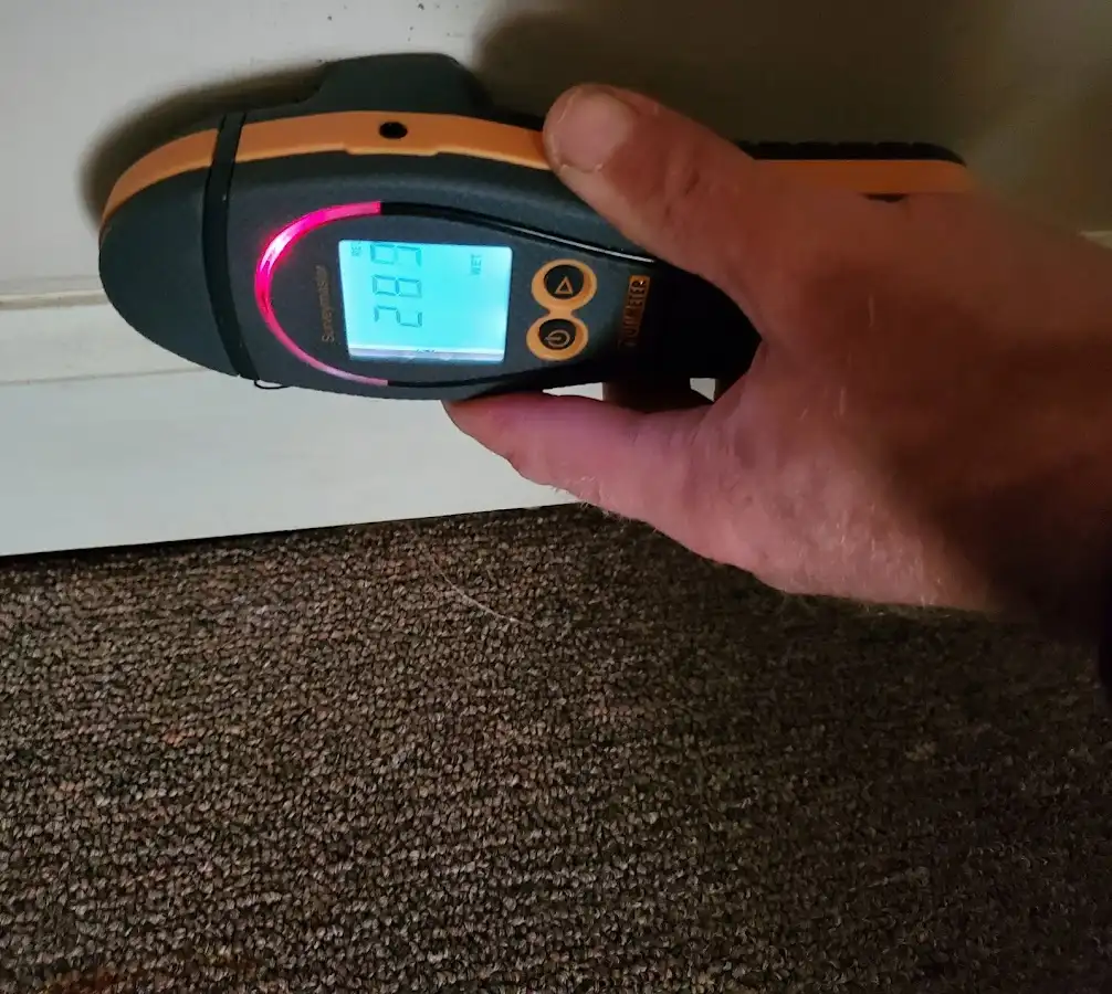 Moisture detection at baseboard during Sewage Cleanup & Sanitation in Mattapoisett
